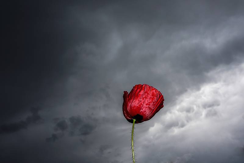 Καιρός 04/05/2023: Επιμένει ο άστατος καιρός (βίντεο)