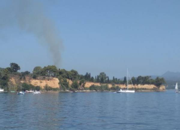 Μεσσηνία: Εγκαιρη επέμβαση της Πυροσβεστικής σε πυρκαγιά στην Αγία Τριάδα Κορώνης