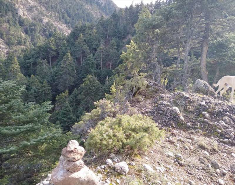 Εξόρμηση του Ευκλή στον Χελμό