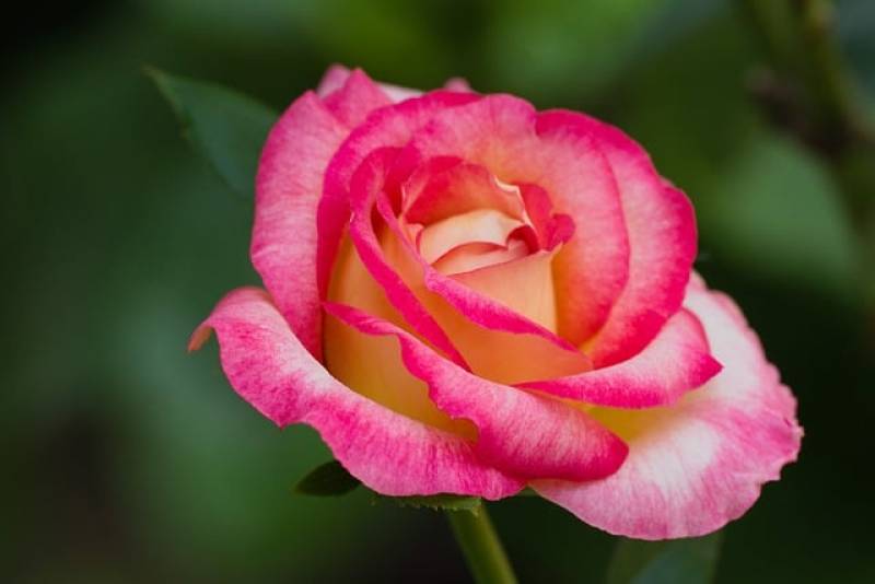 Αστρολογία – 25/7/2023