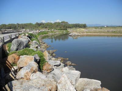 5 προσφορές για τη μελέτη αντιπλημμυρικών στον Πάμισο