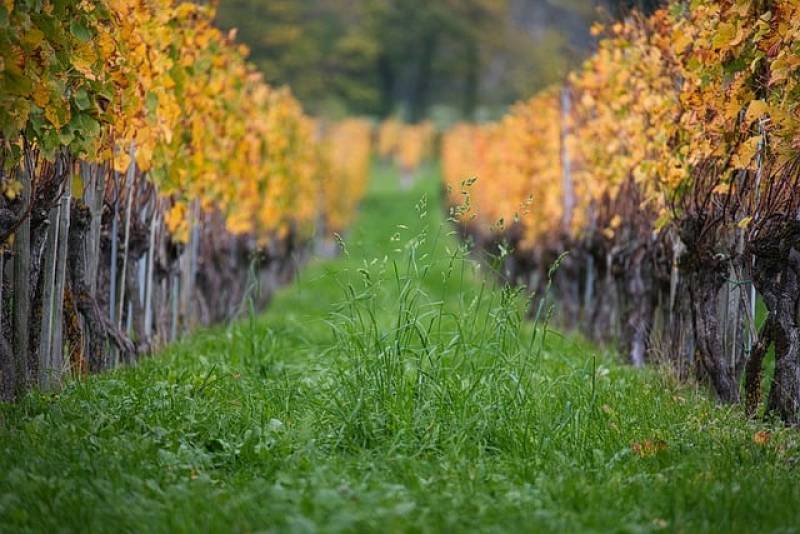 Αστρολογία – 19/12/2024