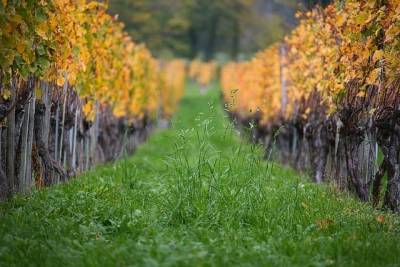 Αστρολογία – 19/12/2024