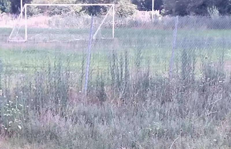 Αποκατάσταση χλοοτάπητα στα γήπεδα Μελιγαλά και Διαβολιτσίου