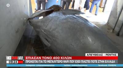 Έπιασαν τόνο 390 κιλών και μήκους 3 μέτρων στο Ιόνιο Πέλαγος (Βίντεο)