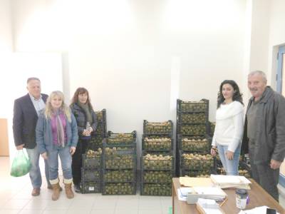 4 τόνοι ακτινίδια σε 240 δικαιούχους στο Δήμο Τριφυλίας