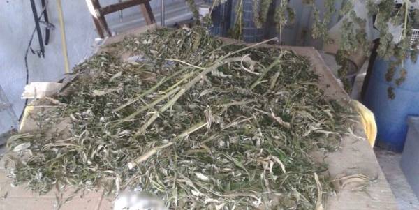 2 κιλά χασίς σε αποθήκη 51χρονου στην Κορώνη (φωτογραφίες)