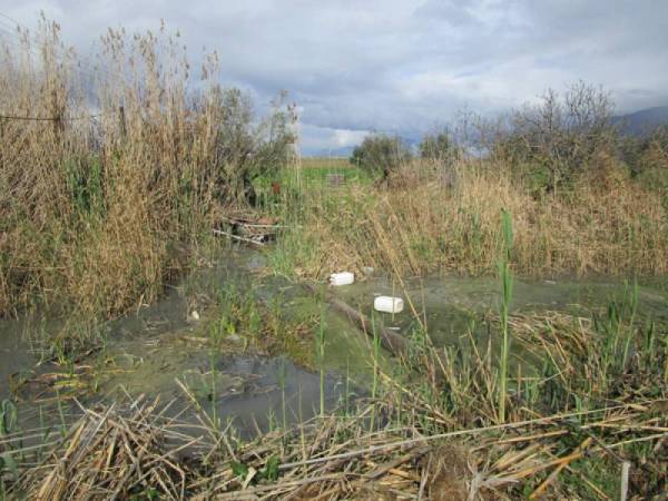 Ελεγχοι για συμμόρφωση και τήρηση της νομιμότητας