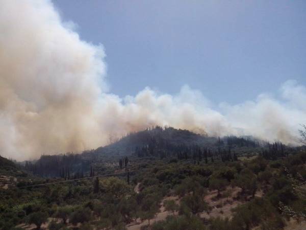 Η φωτιά απειλεί το μουσείο της Αρχαίας Μεσσηνής