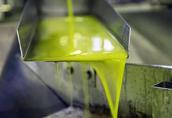 Σπιράλ υποτιμήσεων στις τιμές του ισπανικού ελαιολάδου