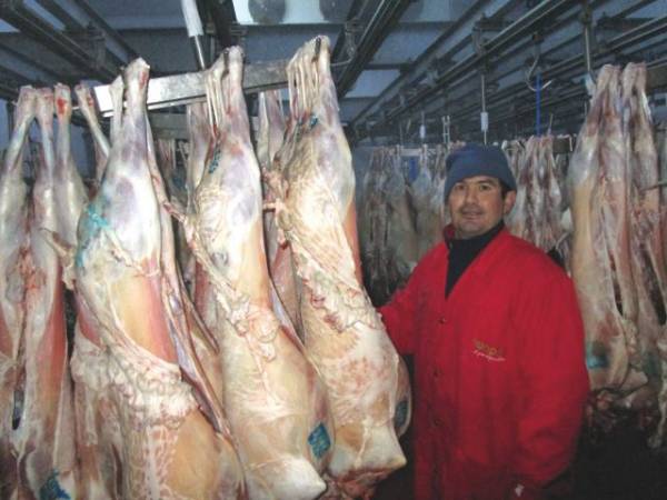 1.500 λιγότερα αμνοερίφια βγήκαν από τα σφαγεία της Καλαμάτας