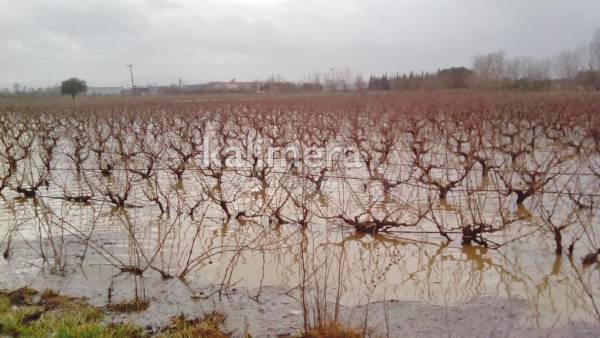 Πλημμύρισαν καλλιέργειες στο οροπέδιο της Μαντινείας