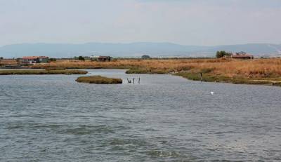 Εντοπίστηκαν 130 μετανάστες σε νησίδα στον Έβρο