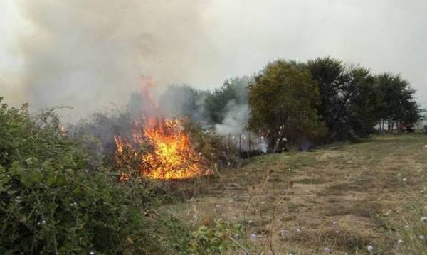 Πυρκαγιές σε Καπλάνι και Πεταλίδι