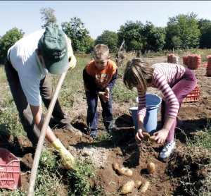 Η κρίση στέλνει τον κόσμο στα χωριά