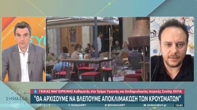 Μαγιορκίνης: Πάρτε μια μάσκα και στις τουαλέτες των κλαμπ - Νέα έξαρση από Οκτώβριο (Βίντεο)