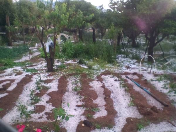 Ζημιές στη Μεσσηνία από την ισχυρή χαλαζόπτωση! (φωτογραφίες)