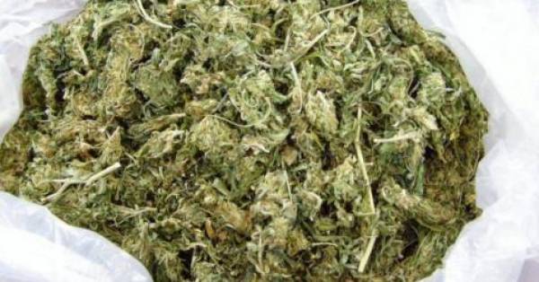 Πάνω από 25 κιλά χασίς και μισό κιλό ηρωίνης διακίνησε σπείρα στη Μεσσηνία