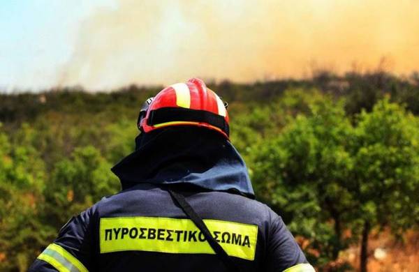 Σε ύφεση η φωτιά στo Γύθειο, υπό έλεγχο τα μέτωπα στην Κέρκυρα