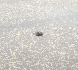 Τρύπα στο δρόμο