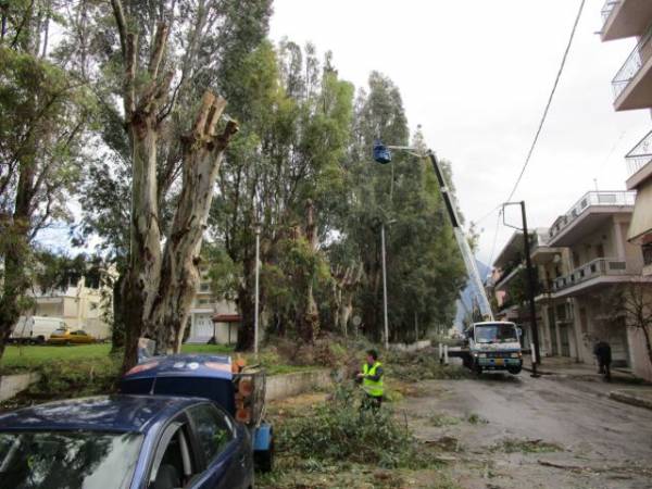 Κλειστή παραμένει η οδός Λακωνικής στην Καλαμάτα για κλάδεμα ευκαλύπτων
