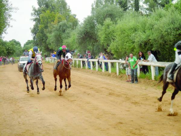 Ιπποδρομίες στο Πλατύ