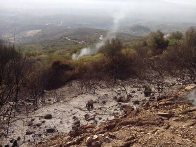 30 συμβασιούχοι για πυροπροστασία στο Δήμο Μεσσήνης