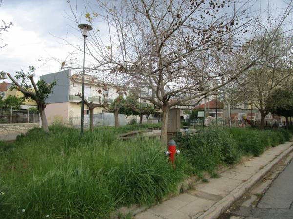 Θέριεψαν τα χορτάρια