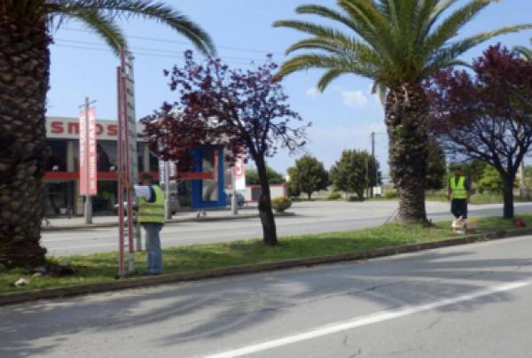 Φυτεύσεις στη νησίδα της Νέας Εισόδου