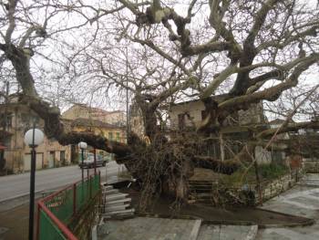 Τριήμερο προσκύνημα στο σκήνωμα του Αγίου Φλώρου