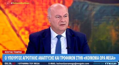 Τσιάρας για την ευλογιά των προβάτων: Θέλουμε να αποφύγουμε το lockdown, θα επιφέρει και άλλου είδους συνέπειες (Βίντεο)