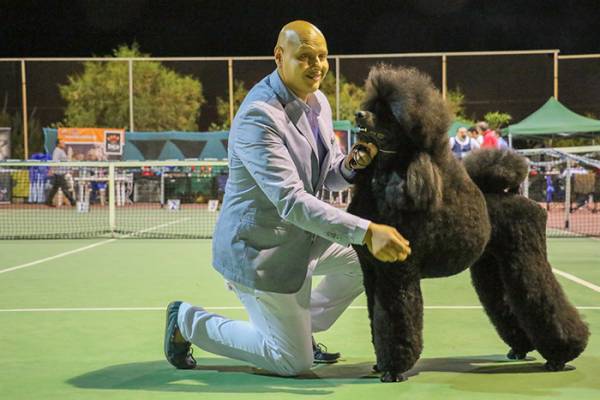 200 σκύλοι από 40 ράτσες στις εκθέσεις της Καλαμάτας (φωτογραφίες)