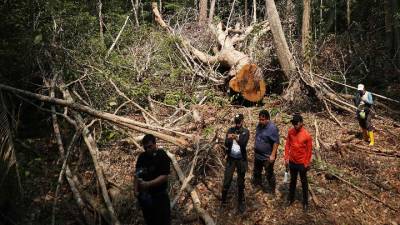 Πυρετός του χρυσού: 13 απαχθέντες εντοπίζονται νεκροί σε μεταλλείο στο βόρειο Περού