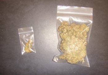 15 συλλήψεις για σειρά αδικημάτων στη Λακωνία