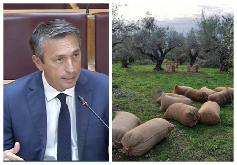 Διορθώσεις στο ψηφιακό δελτίο ελαιοκάρπου ζητεί ο Μαντάς