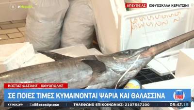 Ακρίβεια: Σε τι τιμές κυμαίνονται τα θαλασσινά (Βίντεο)