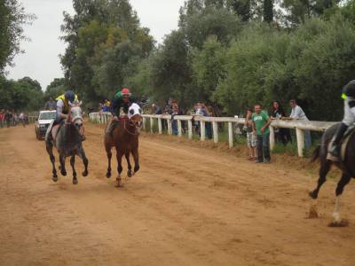 Ιπποδρομίες στο Πλατύ και εγκαίνια του Δημοτικού Ιππικού Κέντρου