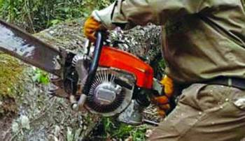 Εκοβε παράνομα ξύλα στο Καλό Νερό