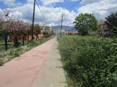 Θέριεψαν τα χορτάρια