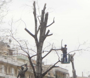 Το σπαθί και το… πριόνι