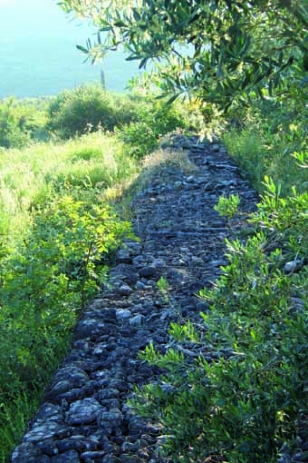 Ξήλωσαν αντιπλημμυρικό στην κοίτη του Χάραδρου