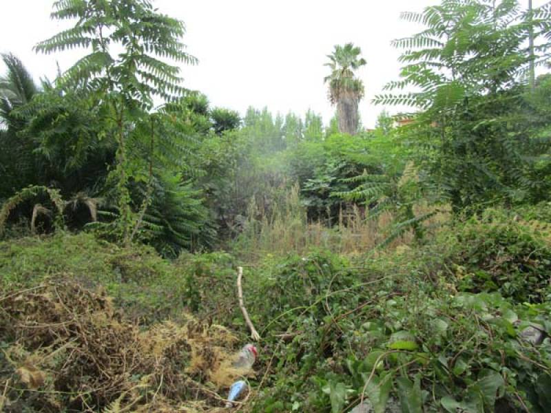 Ζητούν καθαρισμό οικοπέδου στη μαρίνα της Καλαμάτας