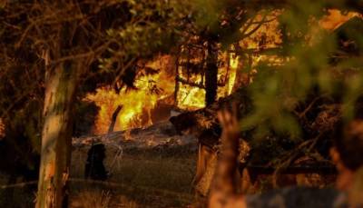 Φωτιές: Σημαντική συνδρομή των Ενόπλων Δυνάμεων στην κατάσβεση και πρόληψη πυρκαγιών