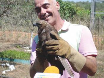 Αφησαν γερακίνες και ασημόγλαρους