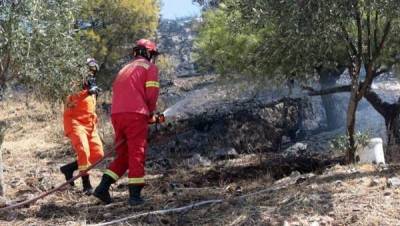 Πρόταση “Νηλέα” για ομάδες δασοπυρόσβεσης