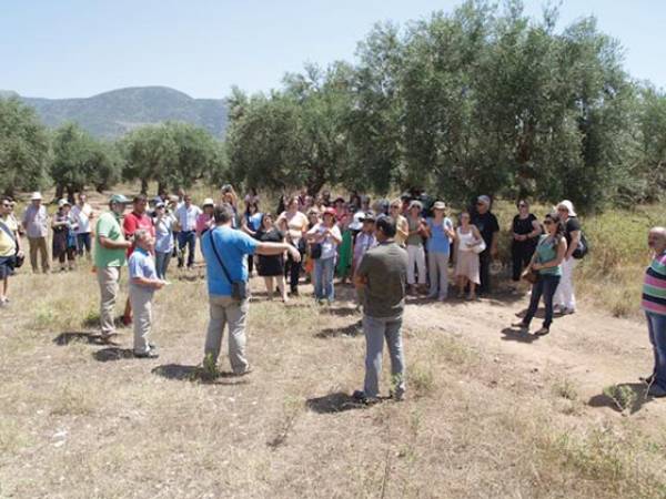 Επιτυχημένη εκδήλωση για τις υπεραιωνόβιες ελιές από το ΚΠΕ Καλαμάτας