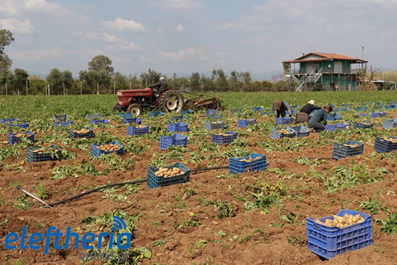 Η πραγματική μάχη είναι στο ράφι