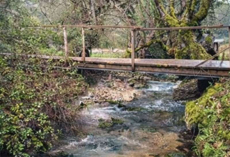 Πεζοπορία διοργανώνουν «Τα Γεράκια»