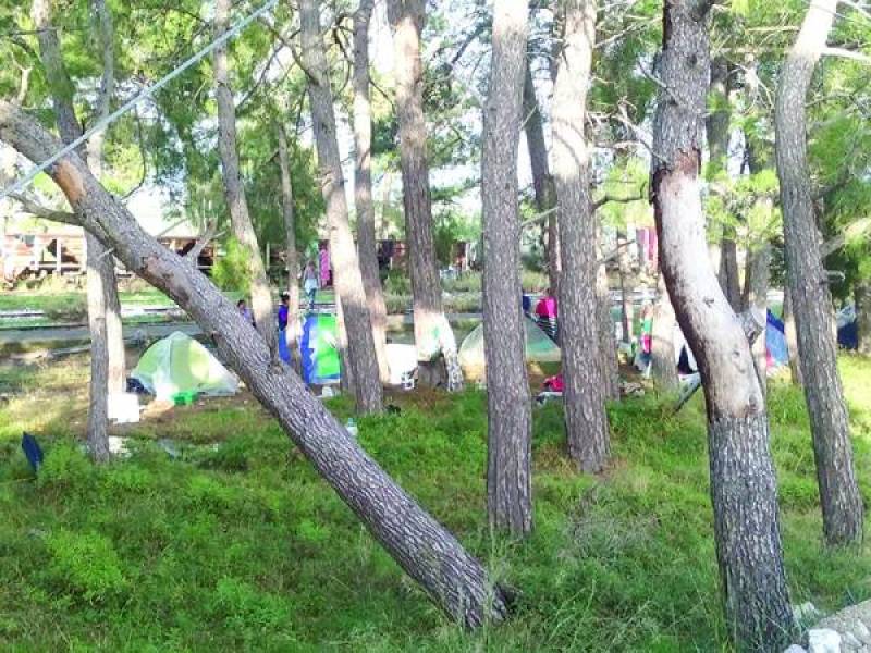 Χαϊδεύουν τα αυτιά των ρατσιστών