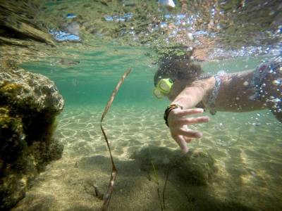 Τμήματα μετεκπαίδευσης στον τουρισμό θα λειτουργήσουν στην Καλαμάτα